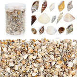 1000Pcs Mini Sea Shells Mixed Ocean Beach Seashells Various Sizes Natural Seashells Starfish for Fish Tank, Home Decorations, Beach Theme Party, WoodArtSupply