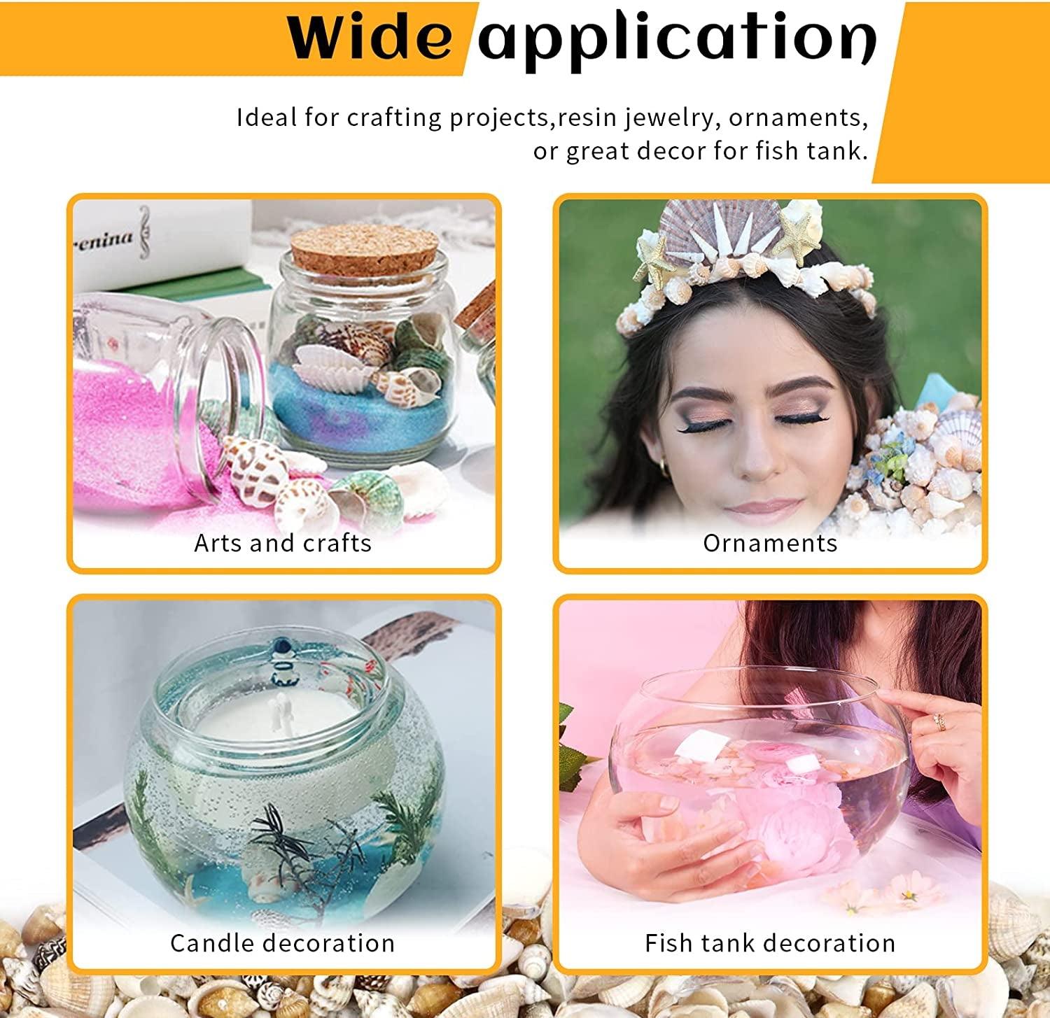 1000Pcs Mini Sea Shells Mixed Ocean Beach Seashells Various Sizes Natural Seashells Starfish for Fish Tank, Home Decorations, Beach Theme Party, WoodArtSupply