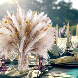 100PCS Natural Dried Pampas Grass Decor - 17.5" Fluffy Pampas Grass Bouquet - Boho Home Decor Dried Flowers for Wedding Floral Room Home Party Table Decorations Secatoho