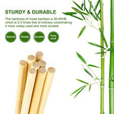 100PCS Wooden Dowel Rods, 1/8 x 12 Inch Round Unfinished Bamboo Dowel Rods, Wood Crafts Sticks Doweling Rods for Crafts and DIYers Arts Projects LepoHome