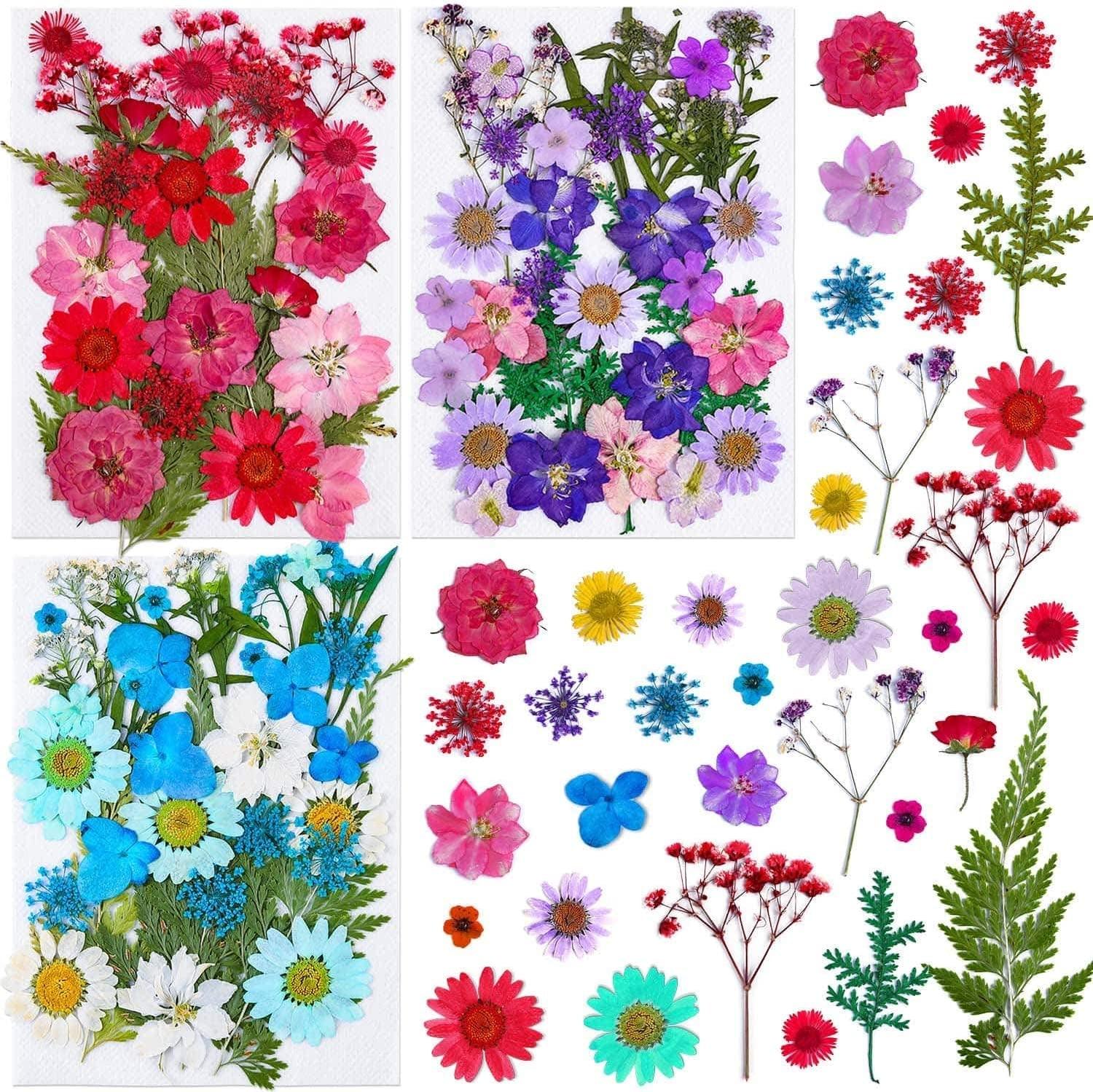 100Pcs Pressed Dried Flowers for Resin Molds, Natural Dried Flower Herbs Kit for Scrapbooking Supplies Card Making Supplies Resin Jewelry Making Soap WoodArtSupply