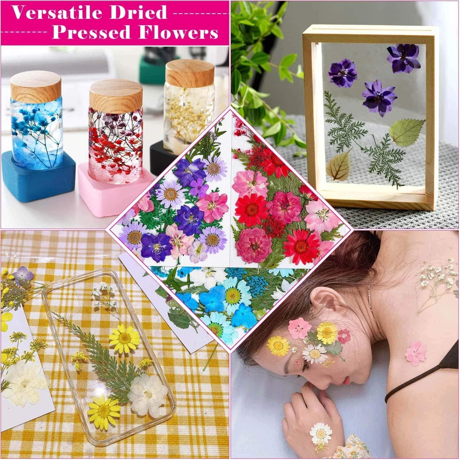 100Pcs Pressed Dried Flowers for Resin Molds, Natural Dried Flower Herbs Kit for Scrapbooking Supplies Card Making Supplies Resin Jewelry Making Soap WoodArtSupply