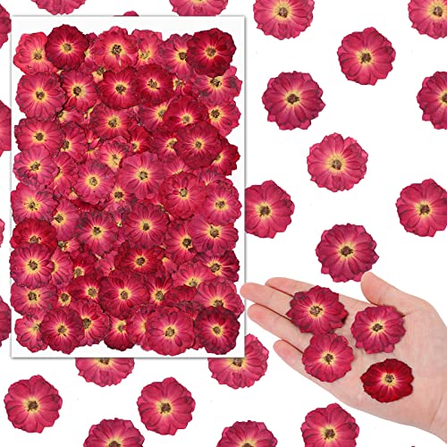 100 Pcs Red Rose Dried Pressed Flowers Small Dry Flowers Real Natural Resin Filler for Scrapbooking DIY Resin Crafts Candle Decoration Jewelry Crafts Woanger