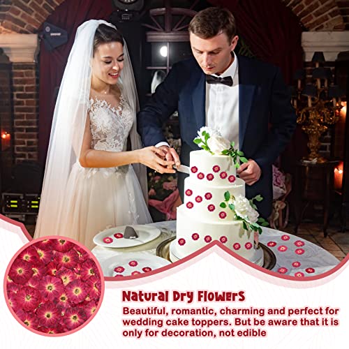 100 Pcs Red Rose Dried Pressed Flowers Small Dry Flowers Real Natural Resin Filler for Scrapbooking DIY Resin Crafts Candle Decoration Jewelry Crafts Woanger