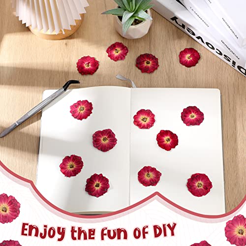 100 Pcs Red Rose Dried Pressed Flowers Small Dry Flowers Real Natural Resin Filler for Scrapbooking DIY Resin Crafts Candle Decoration Jewelry Crafts Woanger