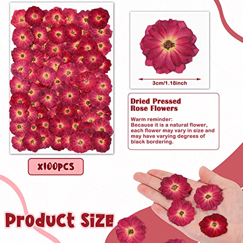 100 Pcs Red Rose Dried Pressed Flowers Small Dry Flowers Real Natural Resin Filler for Scrapbooking DIY Resin Crafts Candle Decoration Jewelry Crafts Woanger