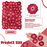 100 Pcs Red Rose Dried Pressed Flowers Small Dry Flowers Real Natural Resin Filler for Scrapbooking DIY Resin Crafts Candle Decoration Jewelry Crafts Woanger