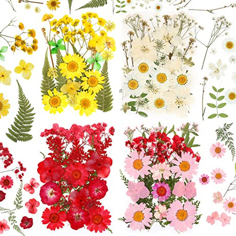 100 Pieces Dried Pressed Flowers for Resin Real Nature Flowers with Leaves Dried Flowers for Crafts DIY Art Candle Soap Making Nail Decors (Daisy Cindeer
