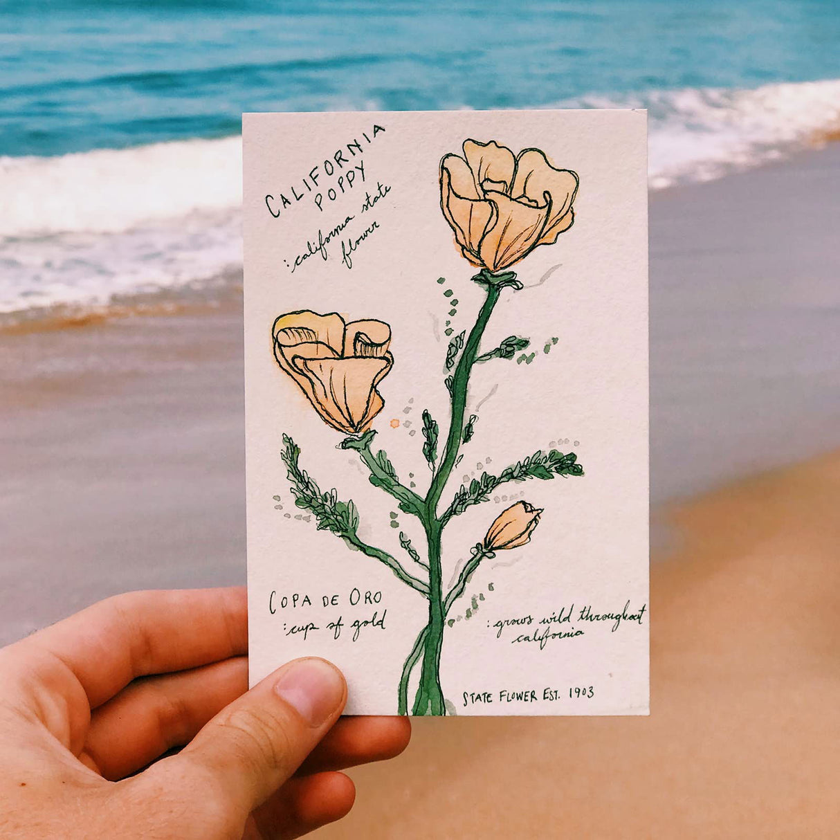 100 Pieces Watercolor Paper 140 lb/300 GSM Heavyweight Art Paint Paper White Water Coloring Paint Paper for Kid Child Watercolor Drawing Student Spiareal