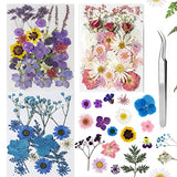 100pcs Dried Pressed Flowers for Resin, Real Pressed Flowers Dry Leaves Bulk Natural Herbs Kit for Scrapbooking DIY Art Crafts, Epoxy Resin Jewelry, MUCBAFLY