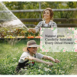 100pcs Dried Pressed Flowers for Resin, Real Pressed Flowers Dry Leaves Bulk Natural Herbs Kit for Scrapbooking DIY Art Crafts, Epoxy Resin Jewelry, MUCBAFLY