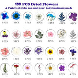 100pcs Dried Pressed Flowers for Resin, Real Pressed Flowers Dry Leaves Bulk Natural Herbs Kit for Scrapbooking DIY Art Crafts, Epoxy Resin Jewelry, MUCBAFLY