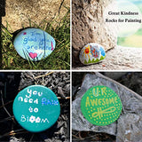 10PCS Extra Large River Rocks for Painting, Flat Painting Rocks 3.9-4.7 Inches Rocks to Paint, Smooth Rocks for Painting, Rock Painting for Kids EXJIOTA