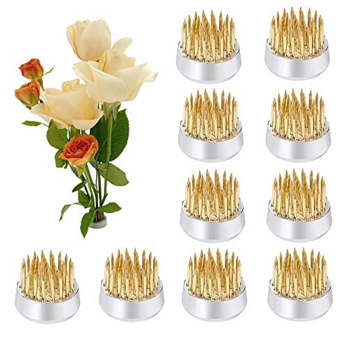 10Pcs Floral Frogs 23mm/0.9inch Round Kenzans Mini Flower Frog Pin Frog Japanese Ikebana Spiky Frog Fixed Tools Metal Flower Arranger Tool Pin Holder Eggone