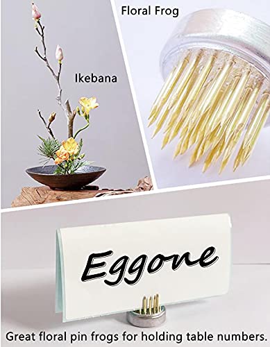 10Pcs Floral Frogs 23mm/0.9inch Round Kenzans Mini Flower Frog Pin Frog Japanese Ikebana Spiky Frog Fixed Tools Metal Flower Arranger Tool Pin Holder Eggone
