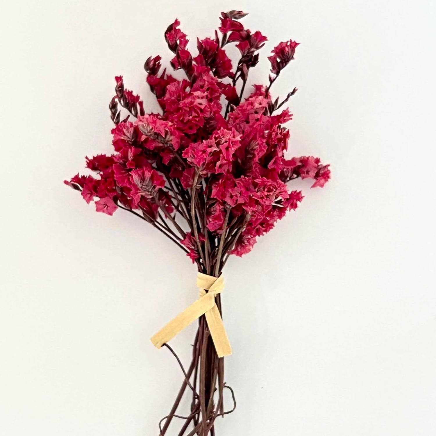 10Pcs Mini Dried Flowers Bouquet, Mixed Natural Dried Flowers Gypsophila Bouquets Boutonniere Table Centerpieces Birthday Cake Flowers for DIY Crafts MOORCHOCO