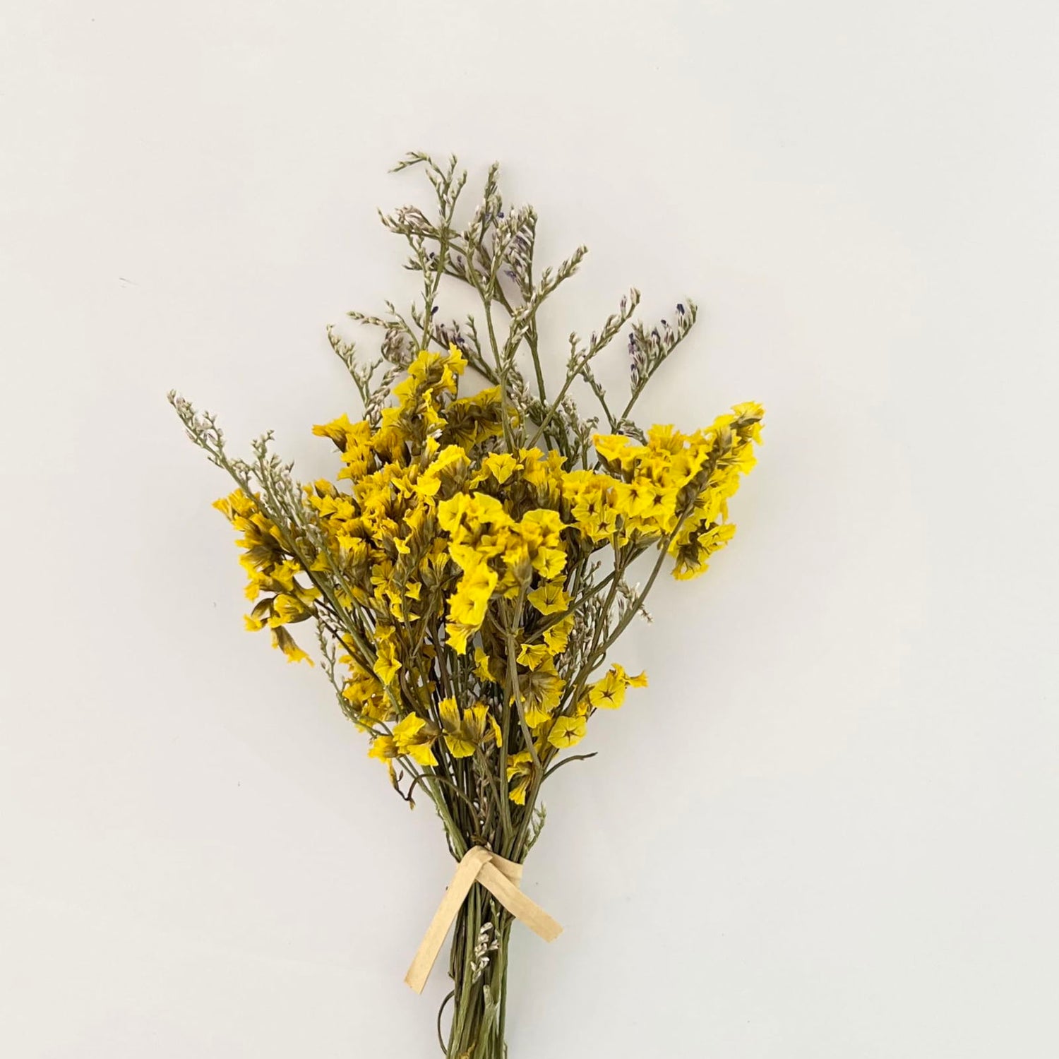 10Pcs Mini Dried Flowers Bouquet, Mixed Natural Dried Flowers Gypsophila Bouquets Boutonniere Table Centerpieces Birthday Cake Flowers for DIY Crafts MOORCHOCO