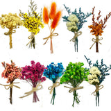 10Pcs Mini Dried Flowers Bouquet, Mixed Natural Dried Flowers Gypsophila Bouquets Boutonniere Table Centerpieces Birthday Cake Flowers for DIY Crafts MOORCHOCO