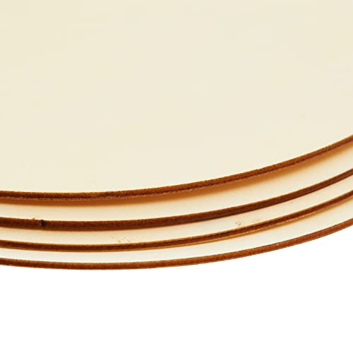 10 Inch Wooden Circles for Crafts, Unfinished Rounds for Wood Burning, DIY Signs, Painting, Decorations (10 Pack) Juvale