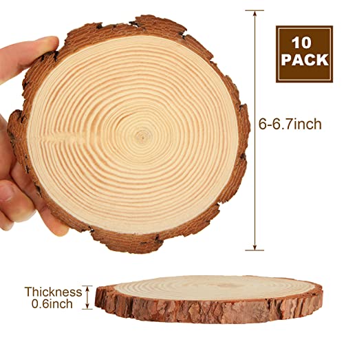 10 PCS 6-6.7 Inch Nature Unfinished Wood Slices, Round Wooden Circle with Tree Bark, Natural Pine Wood Slabs Rustic Wood Slices for DIY Crafts, SHUESS