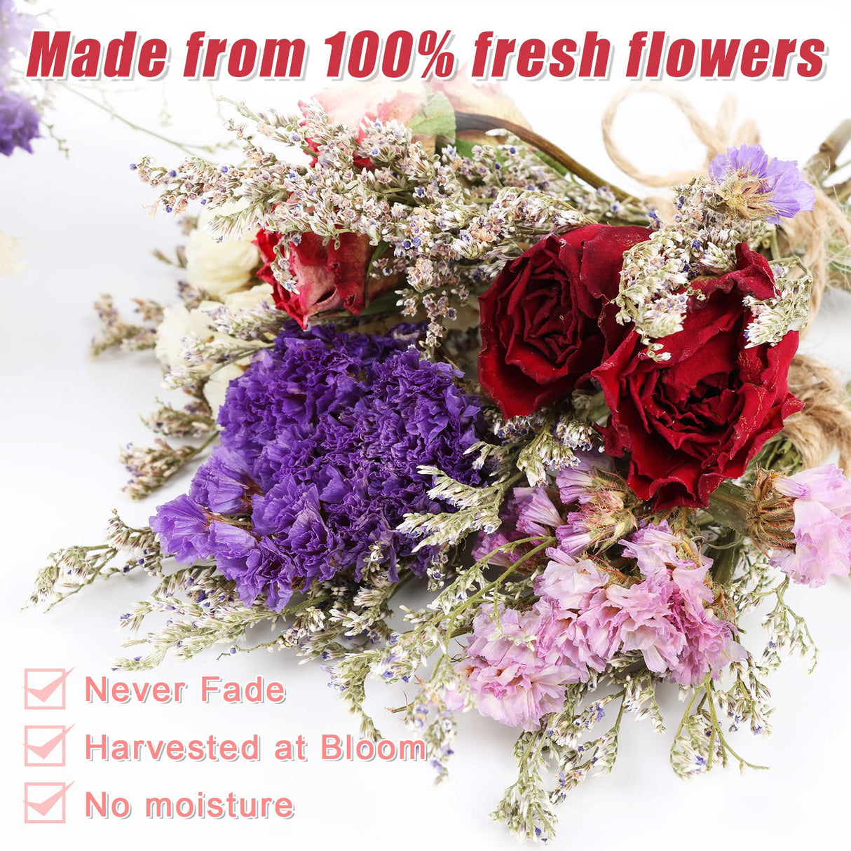 10 Pack Dried Flower Forget Me Not Bouquets Natural Dried Flower with Stem Dried Embossing Flower Bundles Artificial Flower Dried Floral Arrangement for Vase, DIY, Photo Prop, Wedding, Party Decor VAIPI