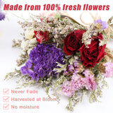 10 Pack Dried Flower Forget Me Not Bouquets Natural Dried Flower with Stem Dried Embossing Flower Bundles Artificial Flower Dried Floral Arrangement for Vase, DIY, Photo Prop, Wedding, Party Decor VAIPI