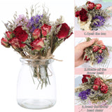 10 Pack Dried Flower Forget Me Not Bouquets Natural Dried Flower with Stem Dried Embossing Flower Bundles Artificial Flower Dried Floral Arrangement for Vase, DIY, Photo Prop, Wedding, Party Decor VAIPI