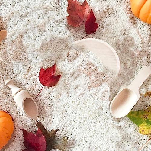 10 Pcs Wooden Sensory Bin Tools for Toddlers & Preschool Children, Montessori Sensory Wooden Toys Fine Motor Learning Pretend Play Sensory Tools for Yowlieu