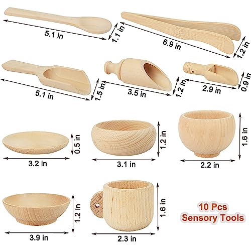 10 Pcs Wooden Sensory Bin Tools for Toddlers & Preschool Children, Montessori Sensory Wooden Toys Fine Motor Learning Pretend Play Sensory Tools for Yowlieu