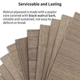 10 Pieces Walnut Plywood Sheets for DIY 12 x 12 x 1/8 Inch Unfinished Craft Wood for Laser Cutting, Engraving, Drawing, Painting, and Wood Burning yeload