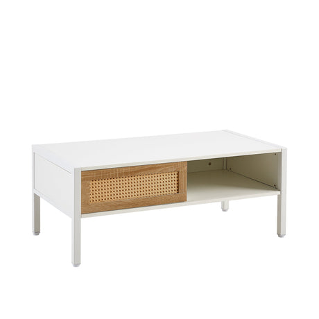 Modern Rattan Coffee Table with Sliding Door HouseOfZazla