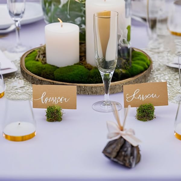 1 PCS 9-10 Inch Unfinished Wood Slices Centerpieces for Tables Round Wooden Discs Wood Crafting, DIY Art Projects, Home Decor, Weding and Party Decoration NLHH