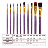 1 Pack 10 Pcs Paint Brushes, Nylon Hair Paint Brushes Set for Kids, Beginner, Suitable for Oil, Watercolor, Acrylic Paint and Body Pinting, Purple LNAUJS
