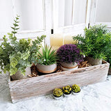 1 Pcs Wood Planter Box Rectangle Whitewashed Wooden Rectangular Planter Decorative Rustic Wooden Box with Inner Plastic Box - 17.3" L x 3.9" W x 3.9" windiy