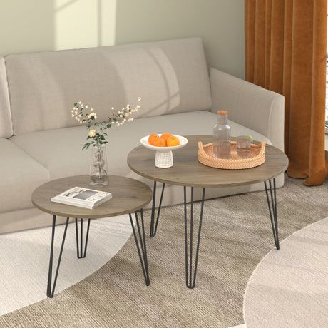 Round Nesting Coffee Table For Living Room (Set of 2) HouseOfZazla