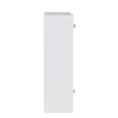 SEI Furniture Willingham Wall Mount Folding Desk, White SEI Furniture