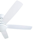 Prominence Home Ashby Modern 52 Inch Ceiling Fan with Light, LED Fan with Remote Control, Tri-Mount Indoor Fan with 5 Blades, White and Gray Oak Blade Finish Options, Farmhouse White (80094-01) Prominence Home