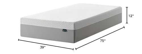 ZINUS 12 Inch Green Tea Essential Memory Foam Mattress [New Version], Twin, Fiberglass Free, Medium Feel, Breathable Airflow Memory Foam, Certified Safe Foams & Fabric, Mattress in A Box ZINUS