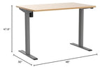 FLEXISPOT Height Adjustable Desk 48 x 30 inch Electric Standing Desk Whole-Piece Desk Board Stand Up Desk for Home Office (Gray Frame + 48" Natural Top) FLEXISPOT