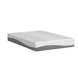 Olee Sleep Twin Mattress, 10 Inch Gel Memory Foam Mattress, Gel Infused for Comfort and Pressure Relief, CertiPUR-US Certified, Bed-in-a-Box, Medium Firm, Grey, Twin Size Olee Sleep