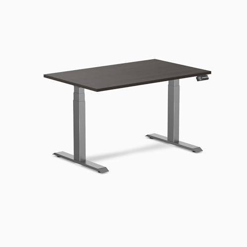 Desky Electric Standing Desk, 47.2" Laminate Height Adjustable Sit Stand Desk, Dual Motor, 4 Memory Presets, Ergonomic Computer Workstation for Home Office – Burnished Wood Top and Space Gray Frame Desky