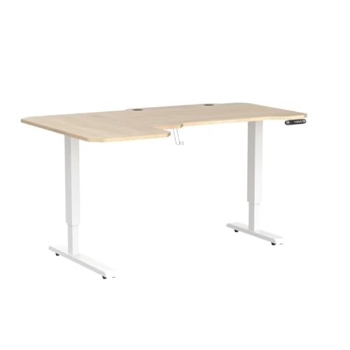 HEONAM Ergonomic Electric Standing Desk 59 Inch, Height Adjustable Sit Stand Desk with Memory Keypad and Large Work Surface HEONAM