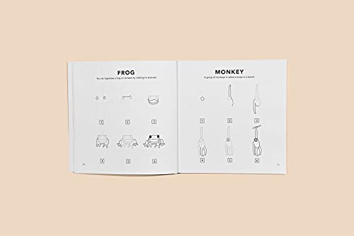 All the Animals: How to Draw Books for Kids with Dogs, Cats, Lions, Dolphins, and More (How to Draw For Kids Series) Paige Tate & Co