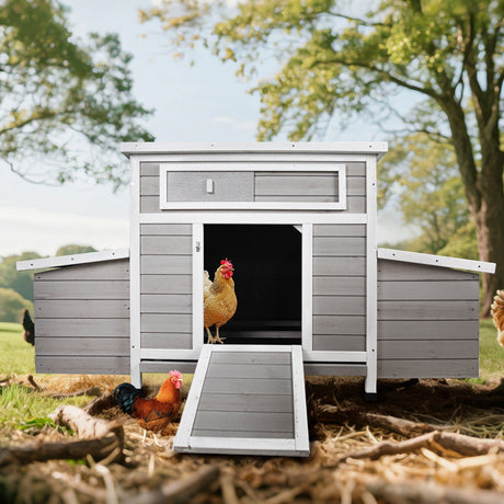 Large Chicken Coop Outdoor Hen House & Dual Nesting Boxes HouseOfZazla
