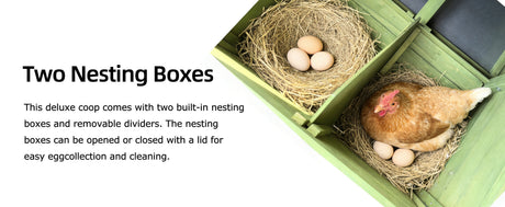 70" Automatic Chicken Coop with Solar-Powered Door HouseOfZazla