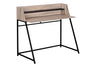 Computer Desk for Home Office Laptop with Storage Shelves, Contemporary & Modern HouseOfZazla