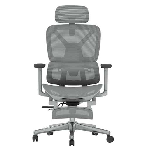 FLEXISPOT ErgoX Premium Ergonomic Office Chair with Footrest- Adjustable 3D Armrests, Dynamic Lumbar Support, Recline & Tilt Function, Mesh Seat, for Home & Office Use,Light Grey FLEXISPOT