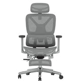 FLEXISPOT ErgoX Premium Ergonomic Office Chair with Footrest- Adjustable 3D Armrests, Dynamic Lumbar Support, Recline & Tilt Function, Mesh Seat, for Home & Office Use,Light Grey FLEXISPOT