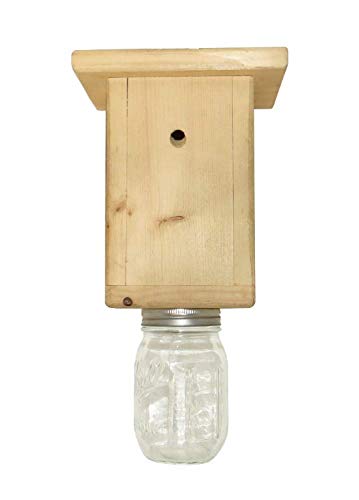 Original B Brothers-Carpenter Bee Trap Original B Brothers