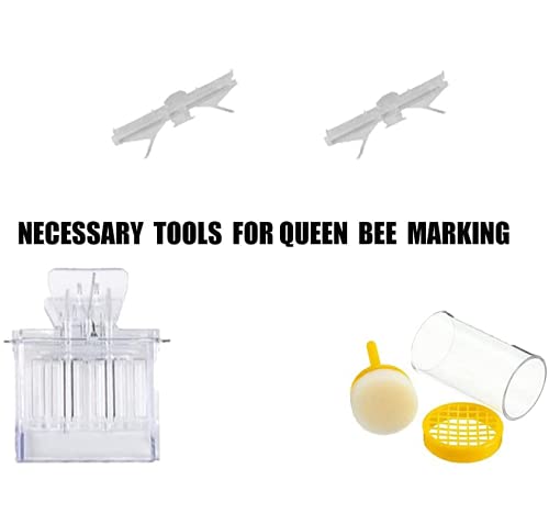 BeeCastle Beekeeping Supplies 22PCS Beekeeping Tools Kit, Bee Keeping Supplies-All Tools Kit Bee Keeping Starter Kit for Beginners and Professional Beekeepers BeeCastle